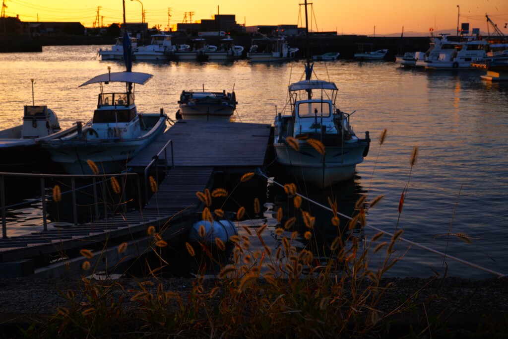 愁いの落日　①。。。！