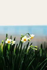 双海シーサイド公園　⑤。。。！