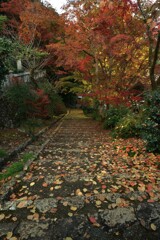 清源寺金色の石段　⑤。。。！