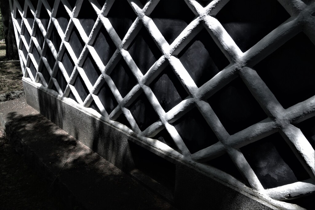 陰の優しさ　①。。。！