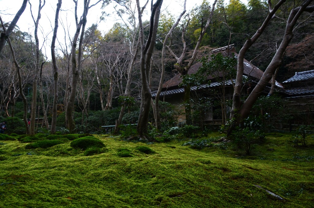 冬の静寂　➂。。。！