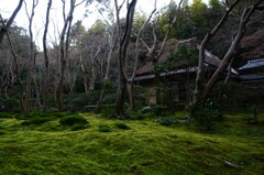 冬の静寂　➂。。。！