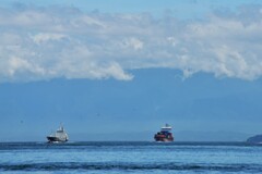 海峡の夏　⑥。。。！