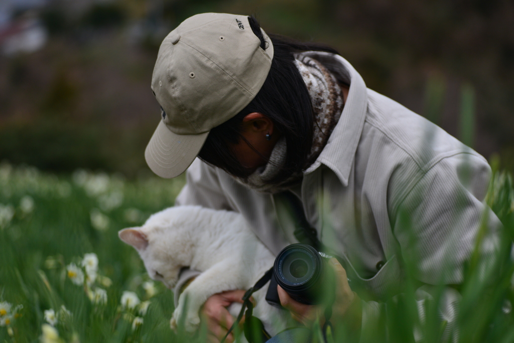 白い水仙．．白い猫　➂。。。！
