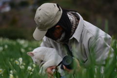 白い水仙．．白い猫　➂。。。！