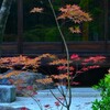 新緑の京都天授庵　⑤。。。！