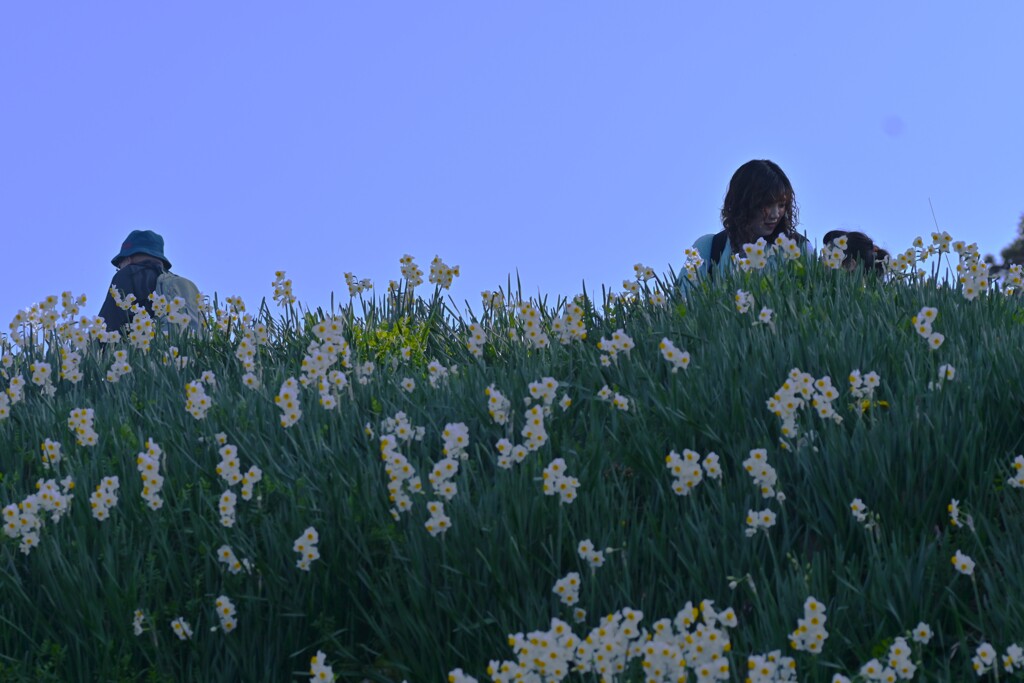 白い丘で逢いましょう　➂。。。！