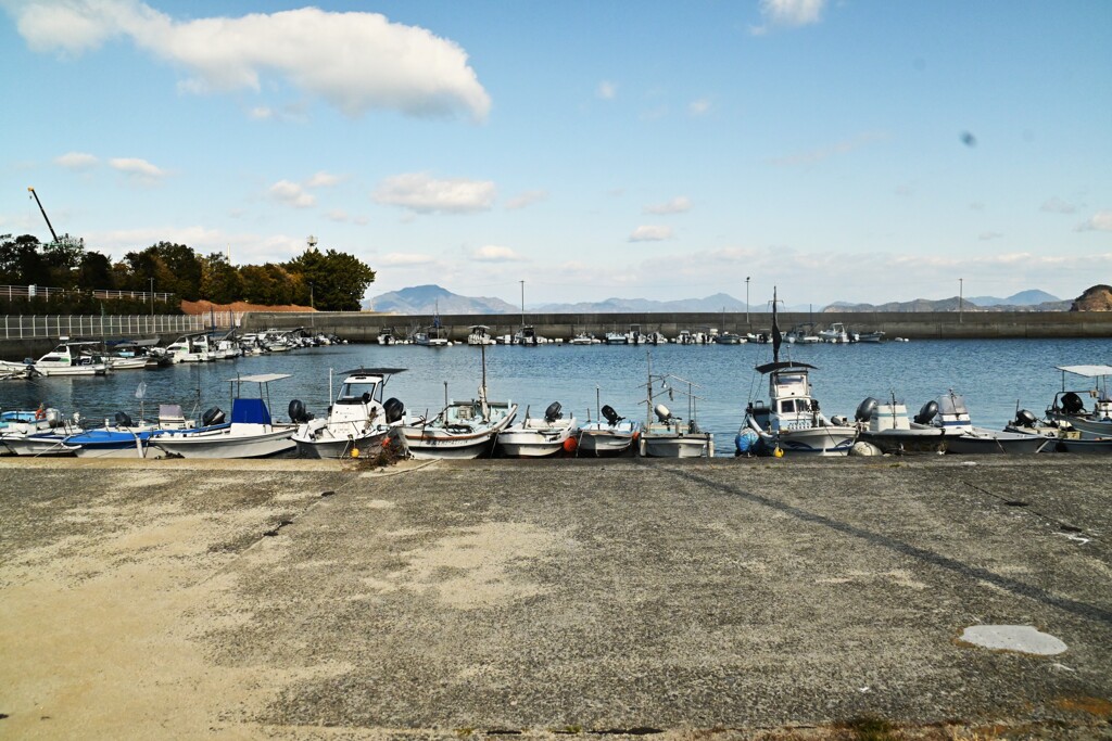 爽快な冬晴れ　①。。。！