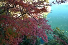 不老庵と紅葉　④。。。！