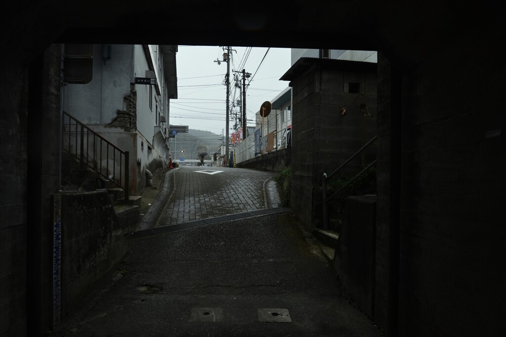 大洲．．春雨にけむる　④。。。！