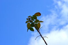 春日和の庚申庵　④。。。！