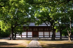 朝の東寺　②。。。！