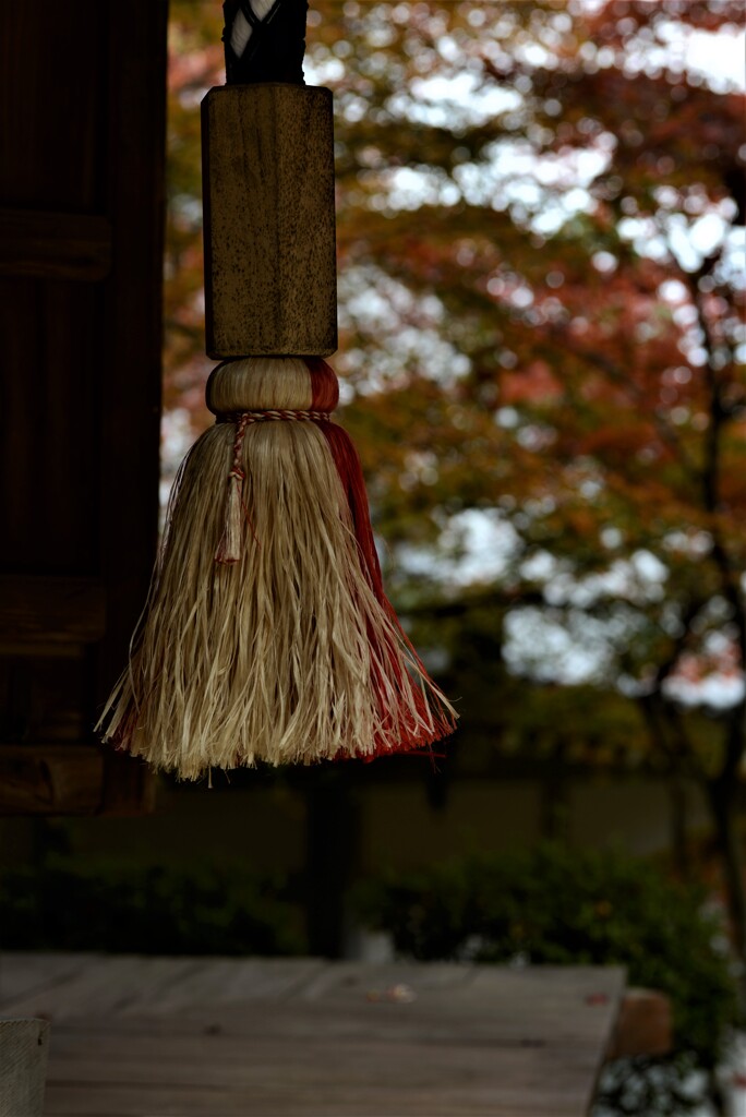 紅葉と祈りの心。。。！