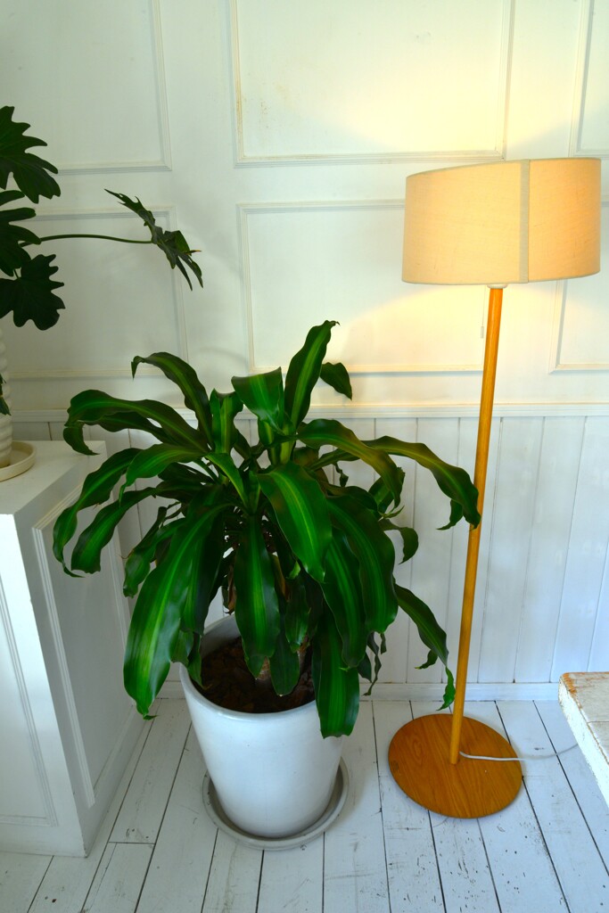 Myfavoriteplace　➁。。。！