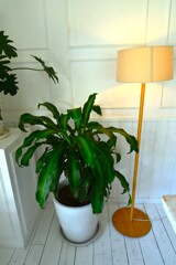 Myfavoriteplace　➁。。。！