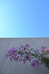 秋色の言葉　④。。。！