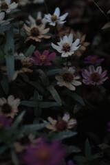 もの悲しくも強く ④。。。! もの悲しくも強く ④。。。!