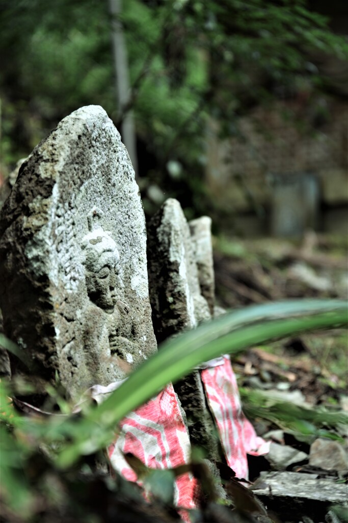 野に微笑みながら。。。！