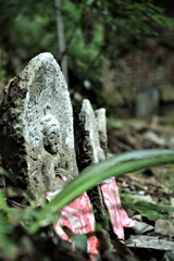 野に微笑みながら。。。！