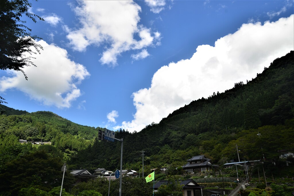 山里の夏　④。。。！