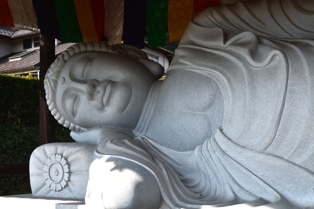 山寺と黄梅　⑥。。。！