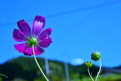 思秋期 ➂。。。! 思秋期 ➂。。。!