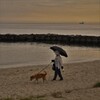 秋色の海物語　⑥。。。！
