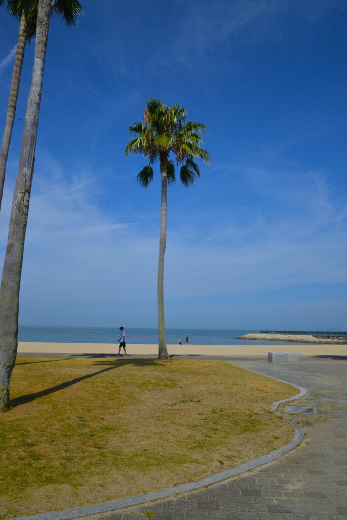 summer　beach　②。。。！
