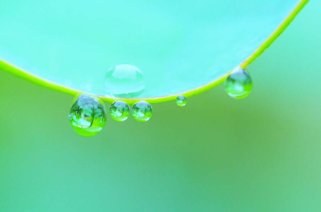 みどりの水晶玉。。。！