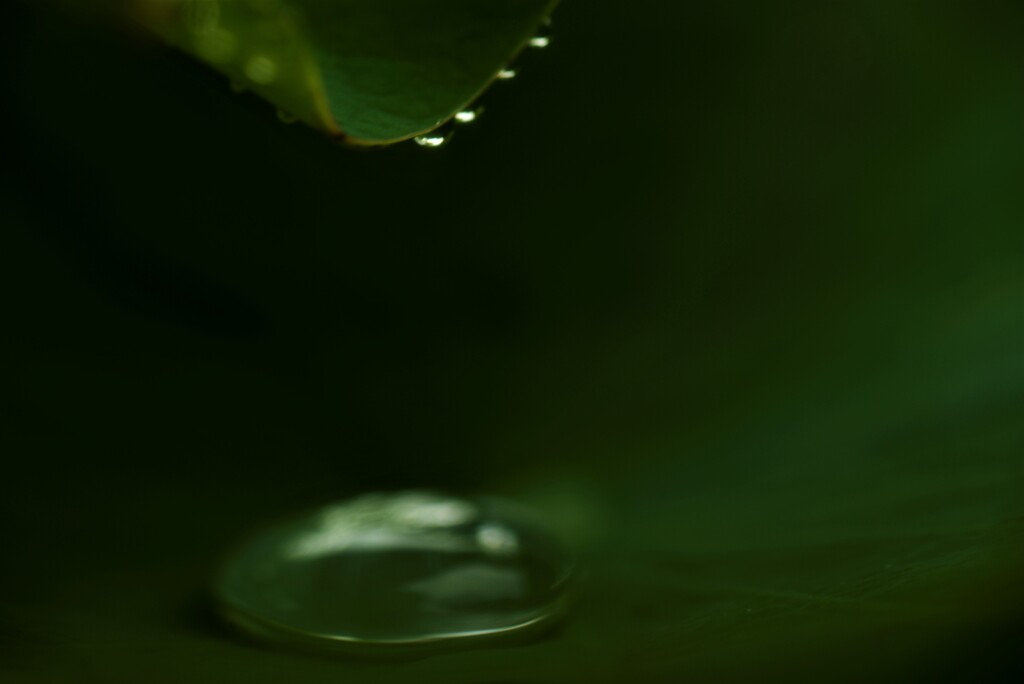 雨粒のシンフォニー　③。。。！