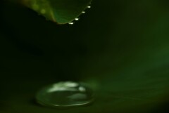 雨粒のシンフォニー　③。。。！
