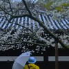 雨に濡れても　➂。。。！