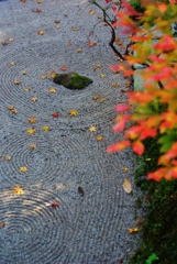 錦絵の古都【南禅寺編】　⑤