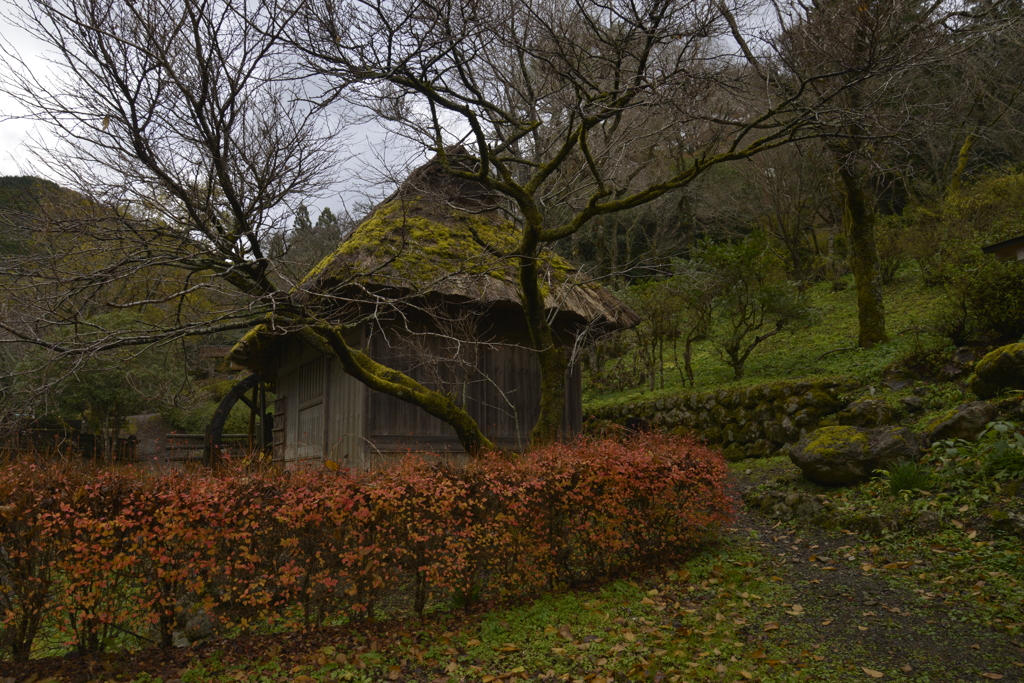 山郷の水車小屋。。。！