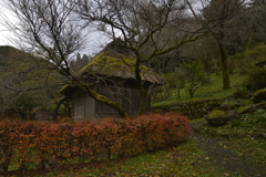山郷の水車小屋。。。！