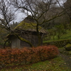 山郷の水車小屋。。。！