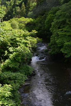山郷の雨あがる　①。。。！