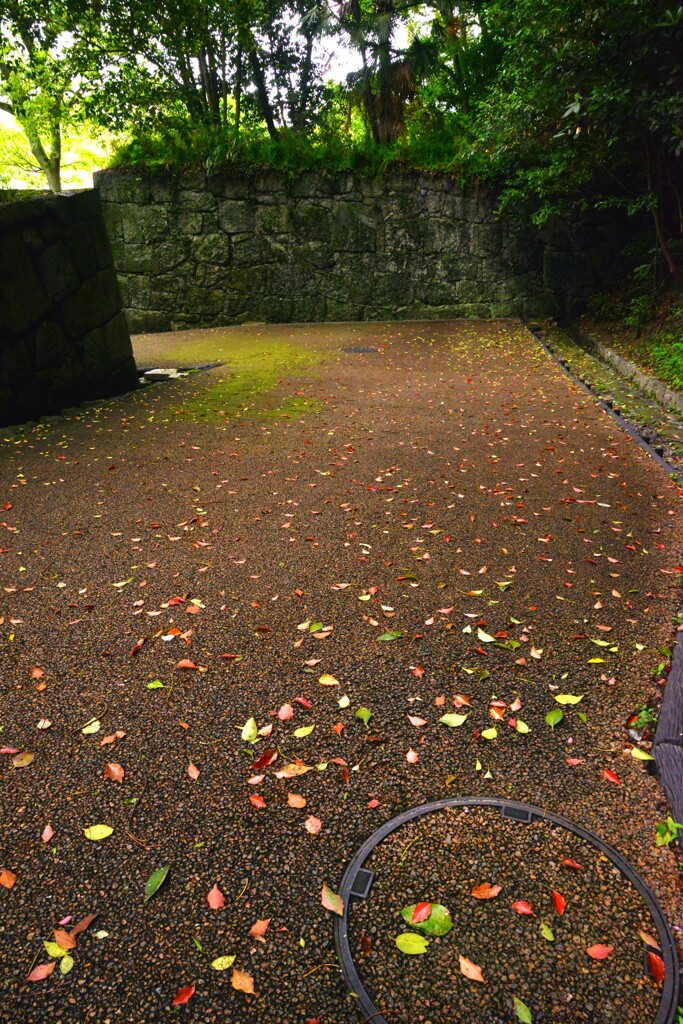 古城の新緑　⑥。。。！