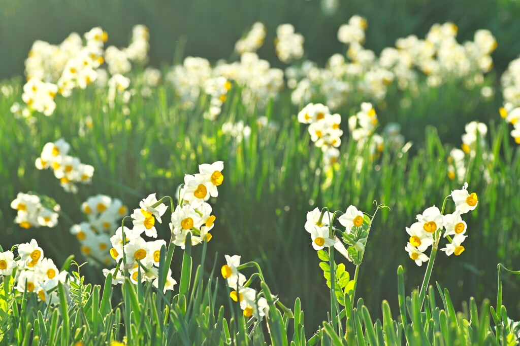 冬の光の中で　②。。。！