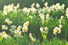 冬の光の中で　②。。。！