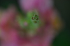 うnn⁇。。。！