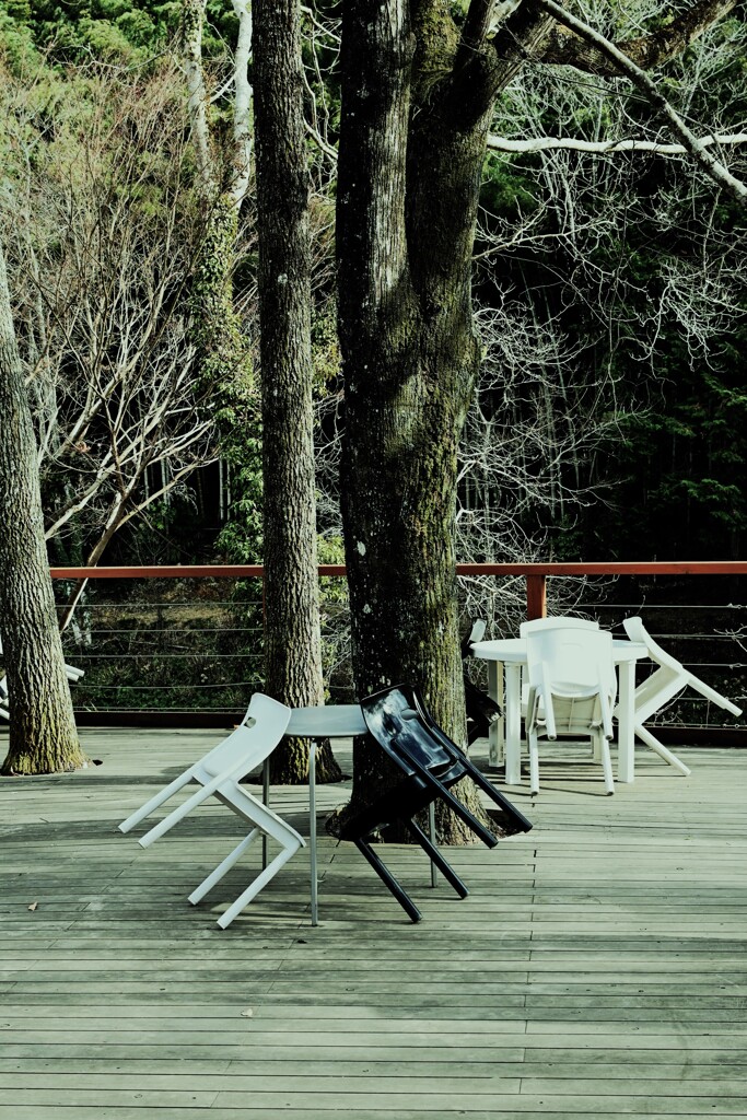 淋しい冬日　④。。。！