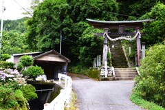 山郷の雨あがる　④。。。！