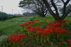 赤の主張　①。。。！