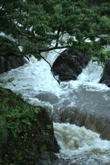 雨上がり　②。。。！