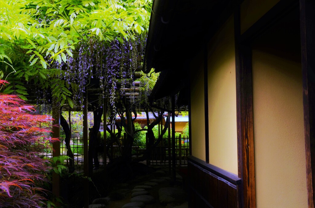 庚申庵のふじ　④。。。！