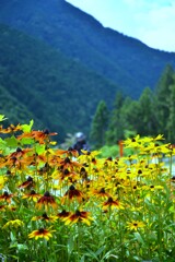 夏の梼原　➂。。。！