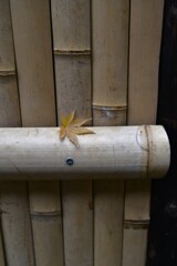 ひらり落ちて　➁。。。！