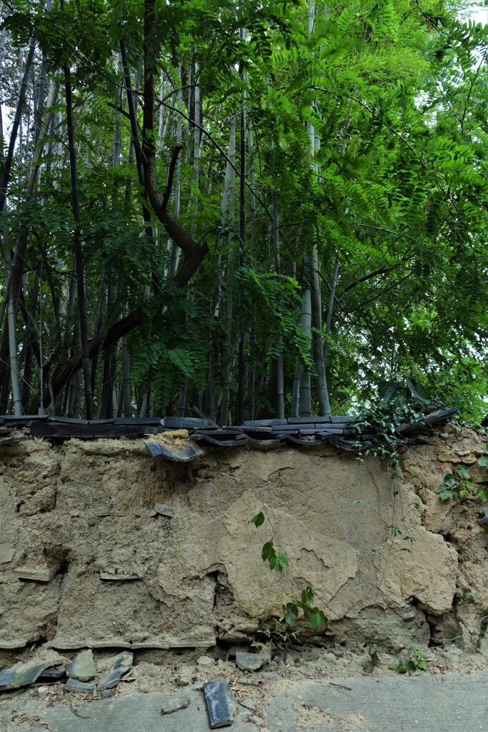 道後．．石手寺　➂。。。！