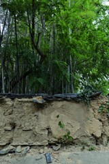 道後．．石手寺　➂。。。！